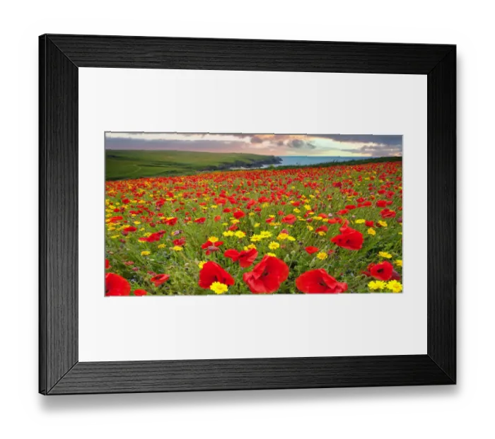 Framed Print : Colours of earth Framed Print : Colours of earth
