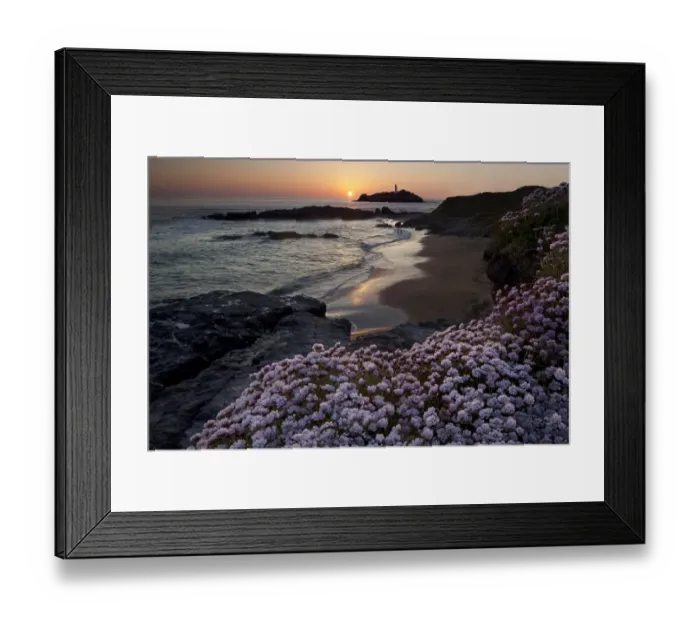 Framed Print : Special Moment Framed Print : Special Moment