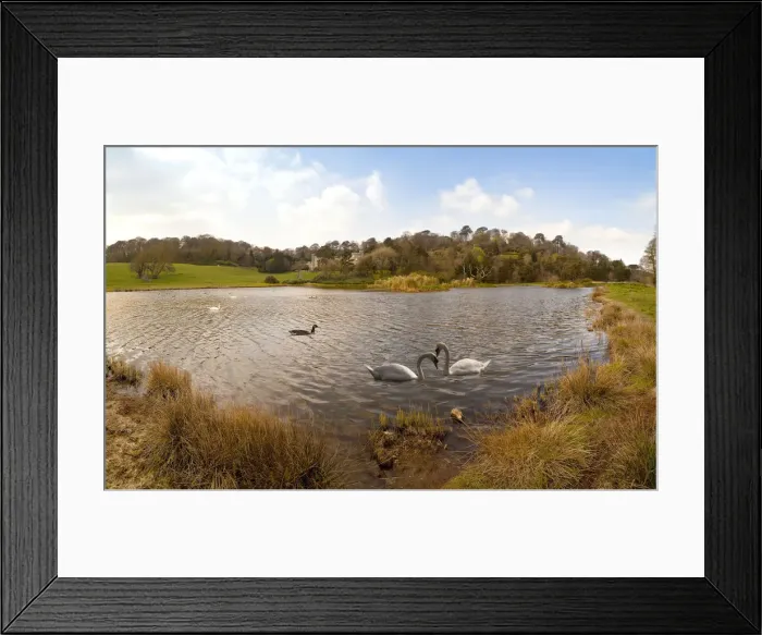 Framed Print : Watching over Framed Print : Watching over