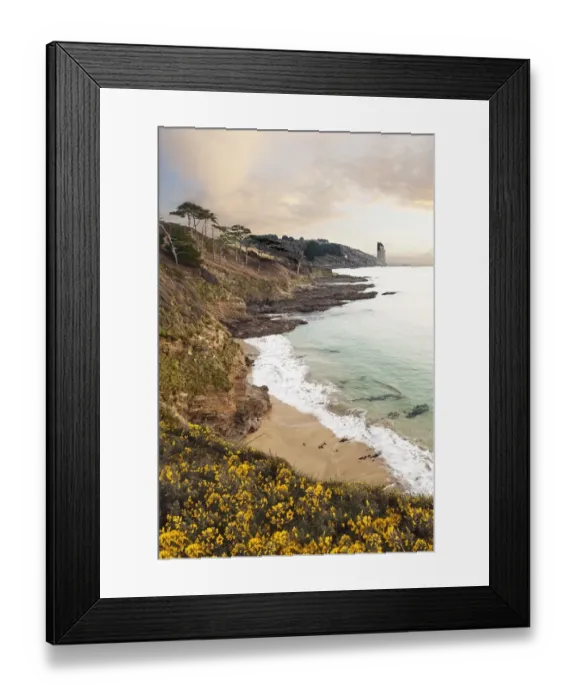 Framed Print : Seascape. Flowers in foreground with lighthouse in background in The Roseland Cornwall