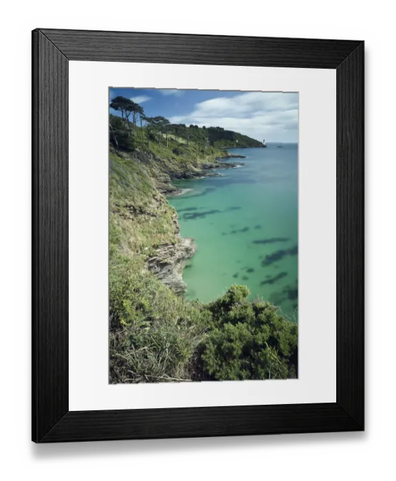 Framed Print : Dream catcher Framed Print : Dream catcher