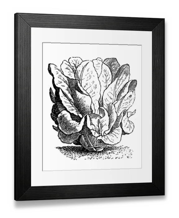 Framed Print : Yellow Parisian salad Framed Print : Yellow Parisian salad