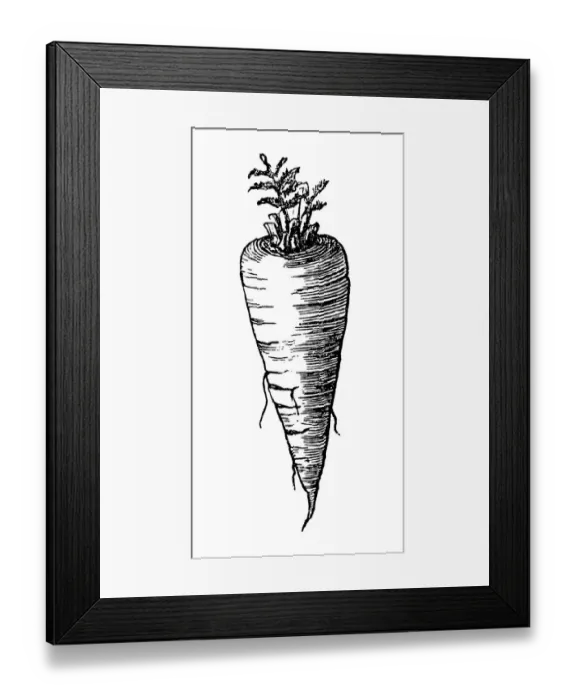 Framed Print : Carrots pale yellow Framed Print : Carrots pale yellow