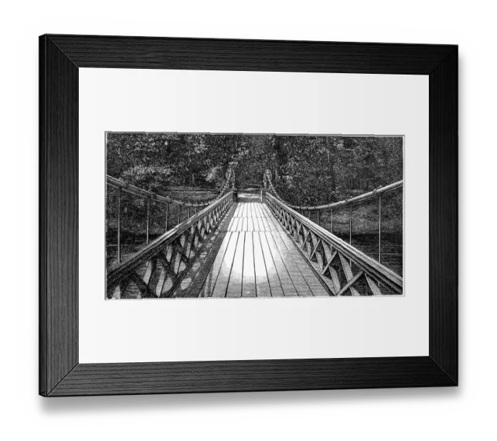 Framed Print : Bridge of Four Lions Framed Print : Bridge of Four Lions