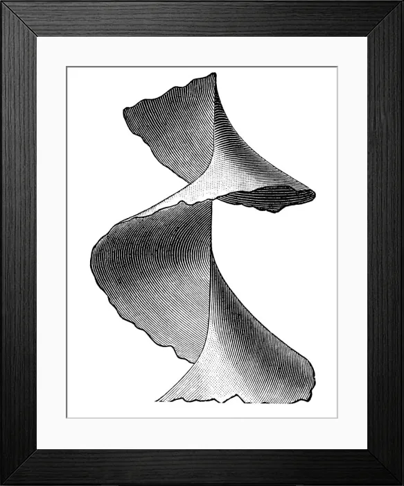 Framed Print : Windward screw surface Framed Print : Windward screw surface