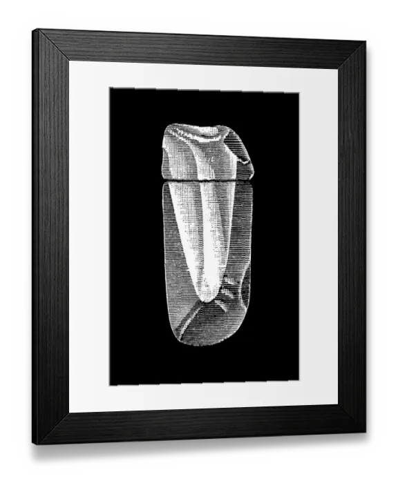 Framed Print : Diamond Shah Framed Print : Diamond Shah