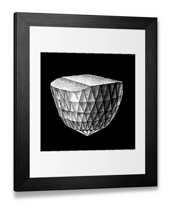Framed Print : Orlov (diamond) Framed Print : Orlov (diamond)