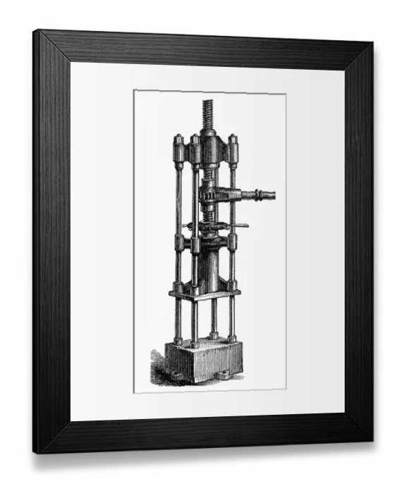Framed Print : Bowenic differential screw press