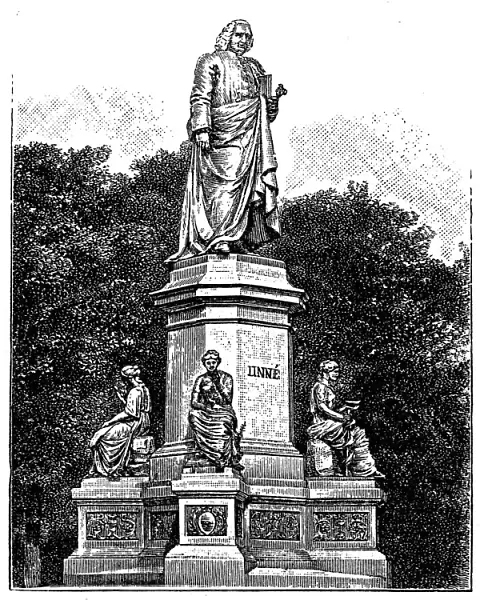 Carl Linnaeus monument in Stockholm, Sweden