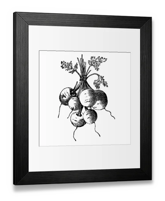 Framed Print : Parisian carrot Framed Print : Parisian carrot