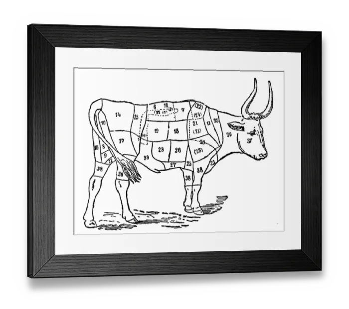 Framed Print : Ox Body Parts Framed Print : Ox Body Parts
