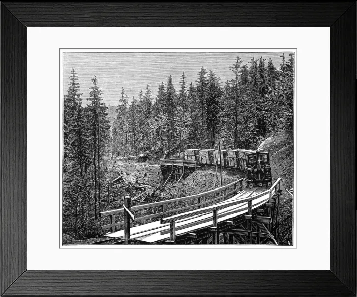 Framed Print : Forest railway Framed Print : Forest railway