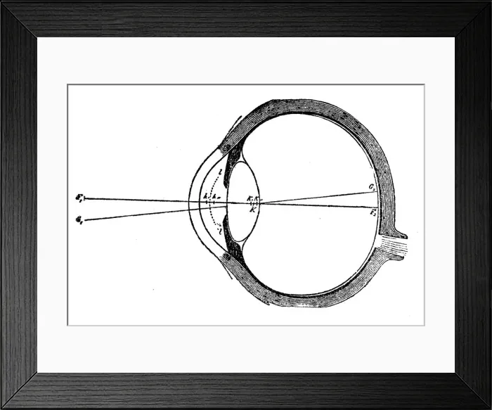 Framed Print : Human eye. illustration of a Human eye Framed Print : Human eye. illustration of a Human eye