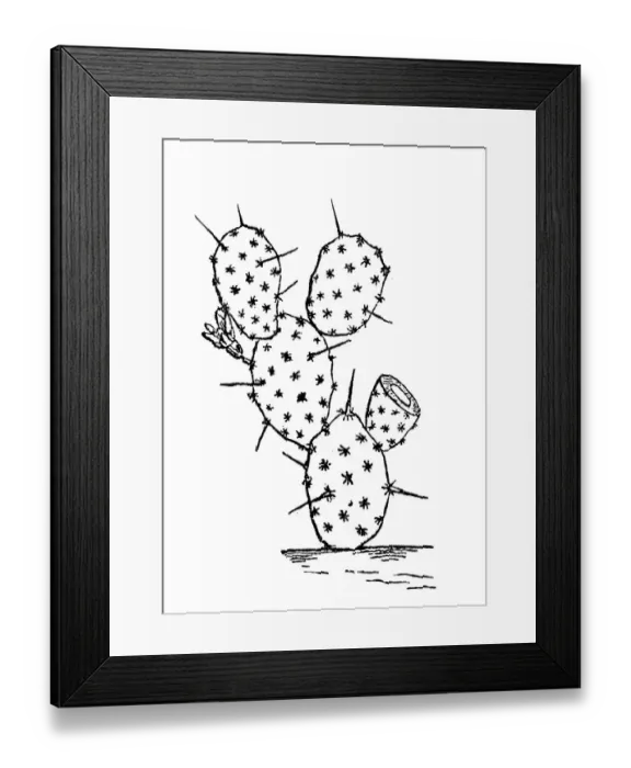 Framed Print : Opuntia ficus-indica (Indian fig opuntia, Barbary fig, cactus pear, spineless cactus, prickly pear) Framed Print : Opuntia ficus-indica (Indian fig opuntia, Barbary fig, cactus pear, spineless cactus, prickly pear)