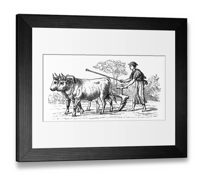 Framed Print : Primitive agriculture