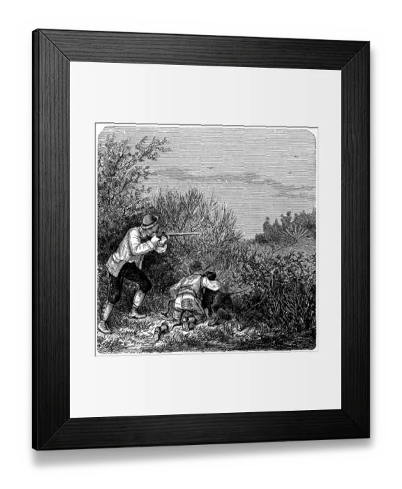 Framed Print : Bird hunting