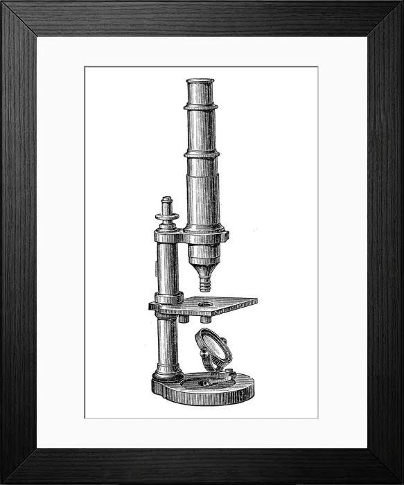 Framed Print : Compound microscope Framed Print : Compound microscope
