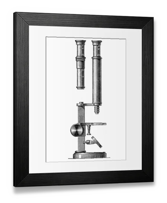 Framed Print : Microscope Framed Print : Microscope
