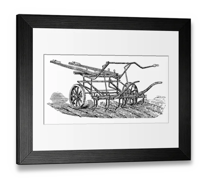 Framed Print : Multi-row hoeing Framed Print : Multi-row hoeing