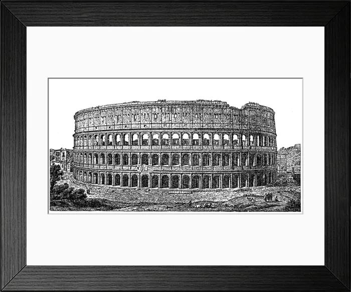 Framed Print : Roman Colosseum Framed Print : Roman Colosseum