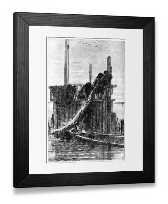 Framed Print : Sturgeon fishing: dragging fish in Volgas bank Framed Print : Sturgeon fishing: dragging fish in Volgas bank