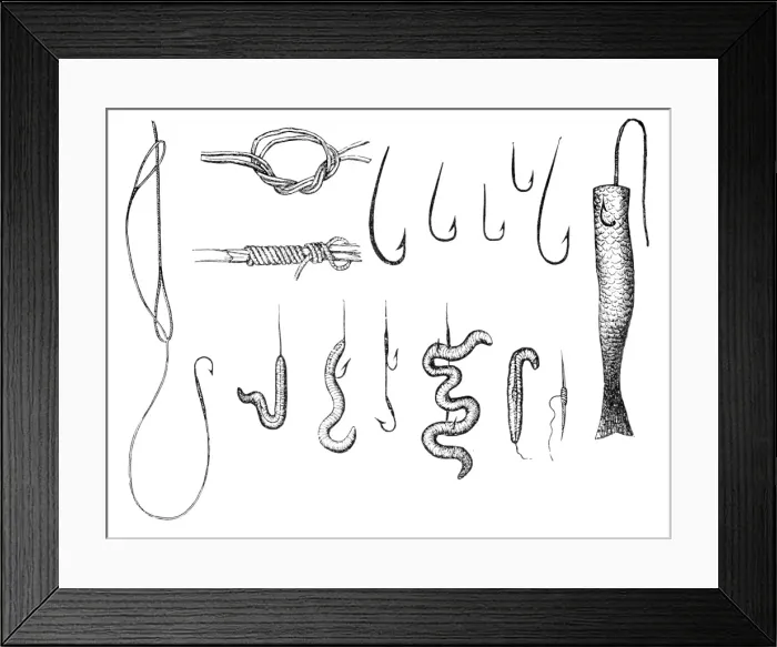 Framed Print : Angling. Illustration of a fishing hooks and baits Framed Print : Angling. Illustration of a fishing hooks and baits