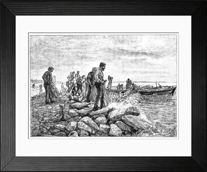 Framed Print : Tuna fishing Framed Print : Tuna fishing