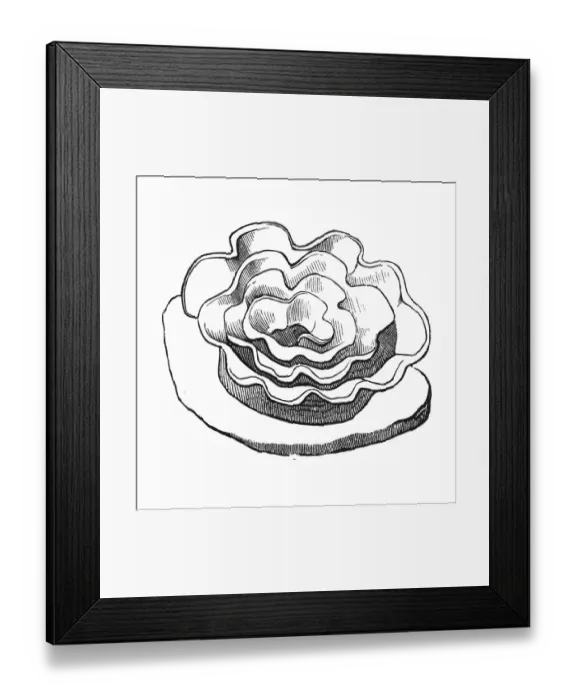 Framed Print : Egg of sea slug Framed Print : Egg of sea slug