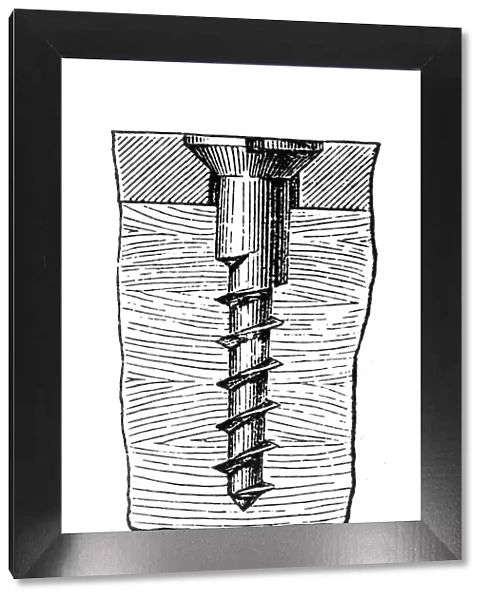 Screw. Illustration of a screw screwed in a wood