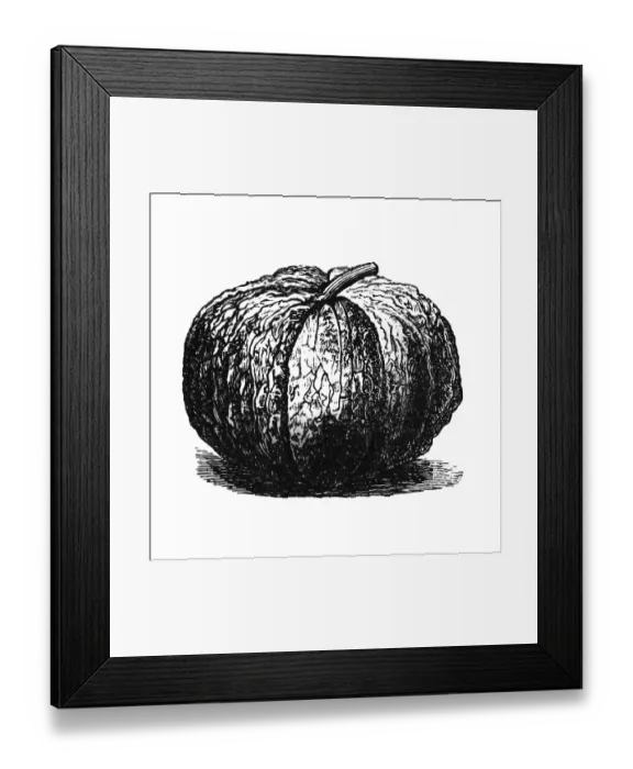 Framed Print : European Cantaloupe Framed Print : European Cantaloupe