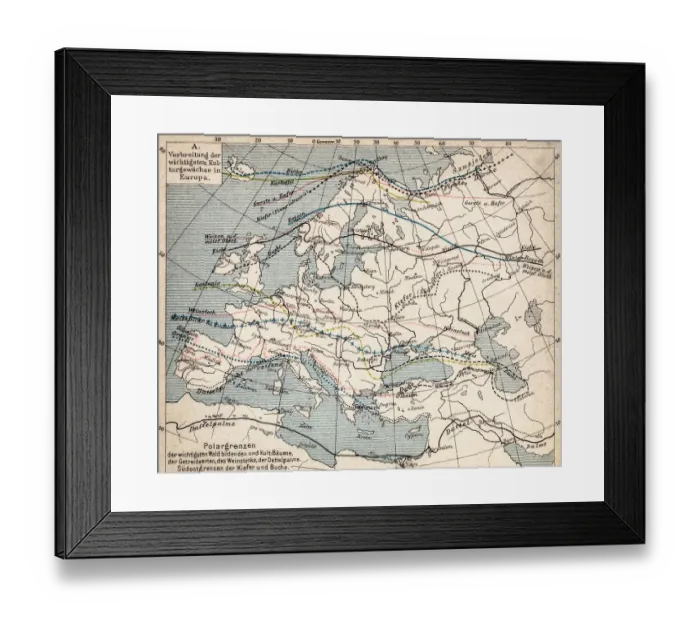 Framed Print : Map of plant geography Framed Print : Map of plant geography
