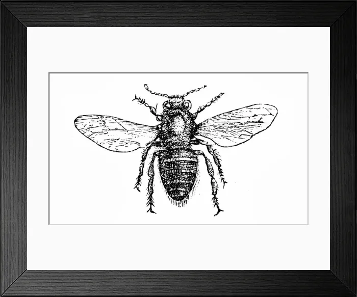 Framed Print : Working bee Framed Print : Working bee
