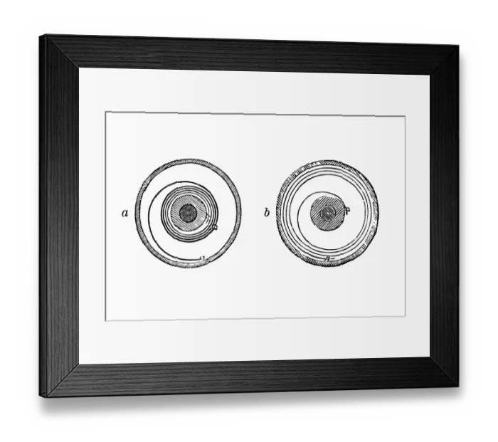 Framed Print : Watch spring, reared, expired Framed Print : Watch spring, reared, expired