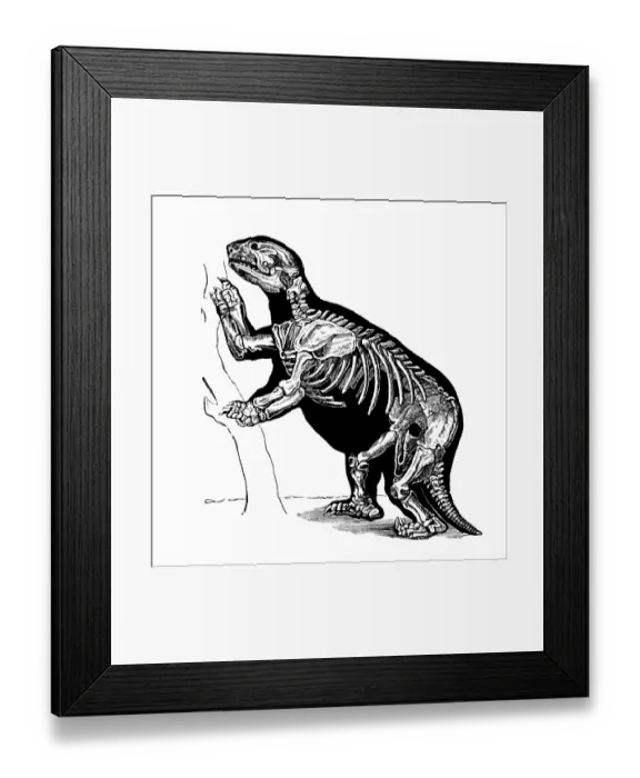 Framed Print : Giant ground sloth, Megatherium