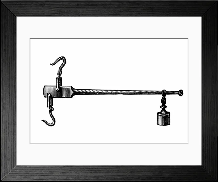 Framed Print : Scale. Antique illustration of scale