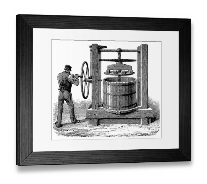 Framed Print : Pomace Press Framed Print : Pomace Press