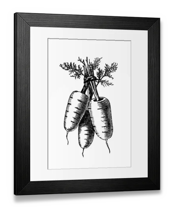 Framed Print : Dutch carrots Framed Print : Dutch carrots