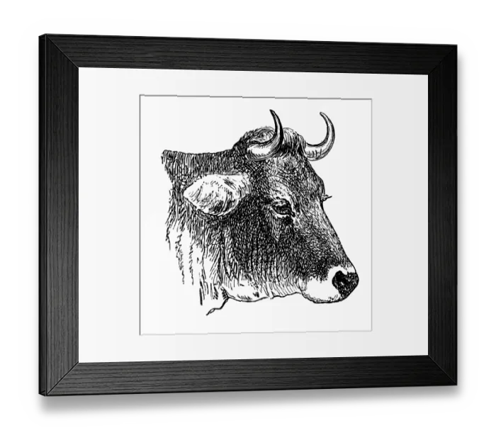 Framed Print : Head of the AllgAÔé¼u cow Framed Print : Head of the AllgAÔé¼u cow
