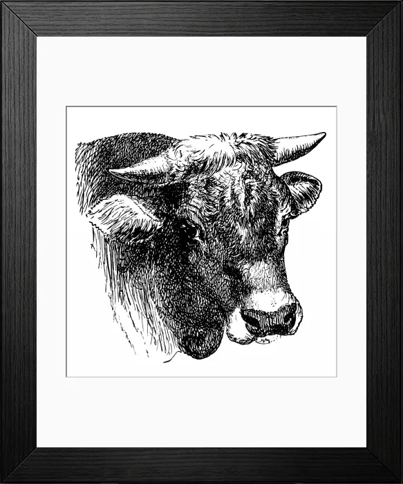Framed Print : Head of the AllgAÔé¼u bull Framed Print : Head of the AllgAÔé¼u bull