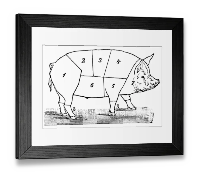 Framed Print : Cuts of Pork Framed Print : Cuts of Pork