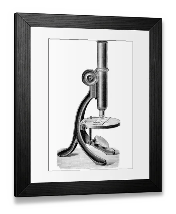 Framed Print : Antique illustration of microscope Framed Print : Antique illustration of microscope
