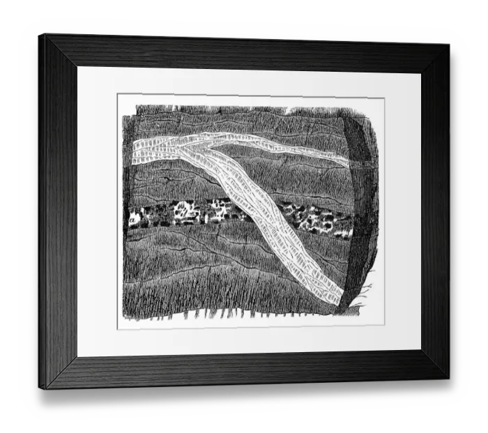 Framed Print : Section of a terrain Framed Print : Section of a terrain