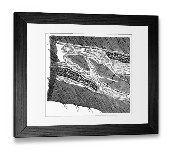 Framed Print : Part of a Freiberg ore mine: sulphur, quartz, gneiss Framed Print : Part of a Freiberg ore mine: sulphur, quartz, gneiss