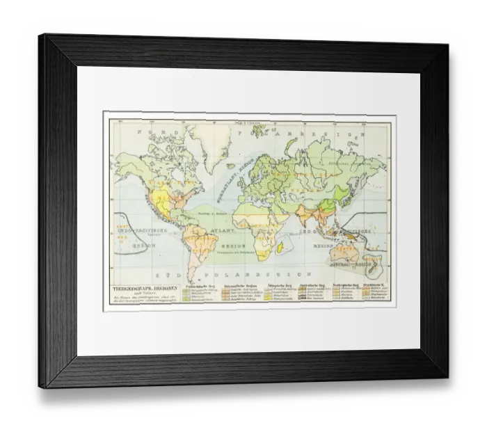 Framed Print : Geographical distribution of animals map 1895 Framed Print : Geographical distribution of animals map 1895