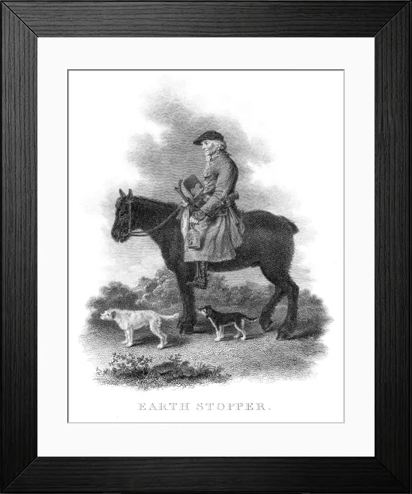 Framed Print : Fox hunting engraving 1812 Framed Print : Fox hunting engraving 1812