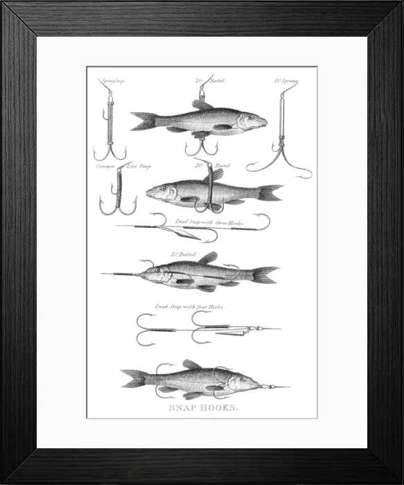 Framed Print : Fish snap hooks engraving 1812 Framed Print : Fish snap hooks engraving 1812