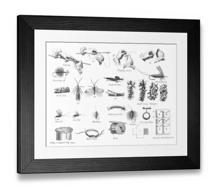 Framed Print : Fish snap hooks engraving 1812 Framed Print : Fish snap hooks engraving 1812