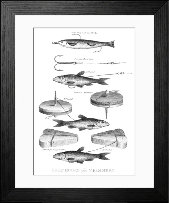 Framed Print : Fish snap hooks engraving 1812 Framed Print : Fish snap hooks engraving 1812