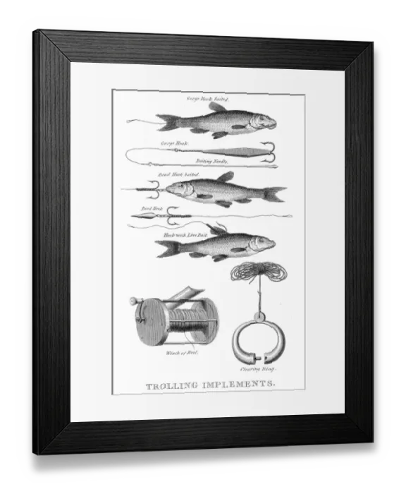 Framed Print : Fish snap hooks engraving 1812 Framed Print : Fish snap hooks engraving 1812