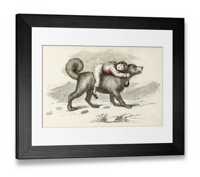 Framed Print : San Bernard dog and kid engraving 1851 Framed Print : San Bernard dog and kid engraving 1851